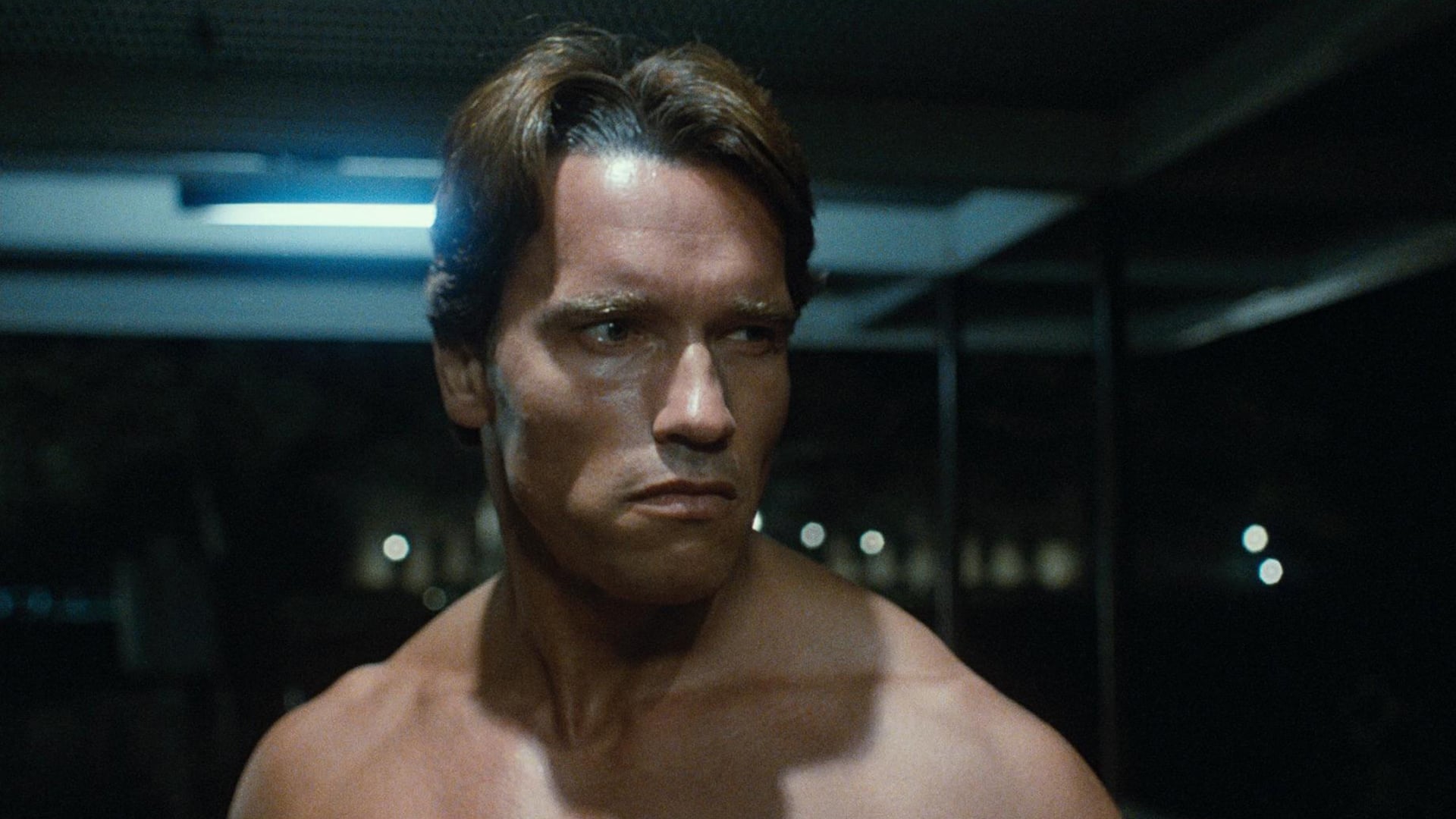 arnold as the terminator