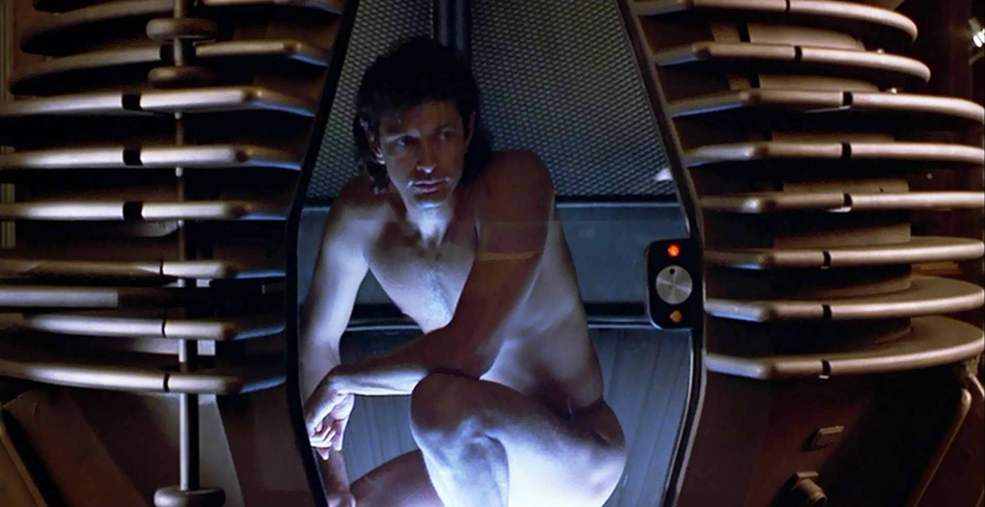 the fly 1986
